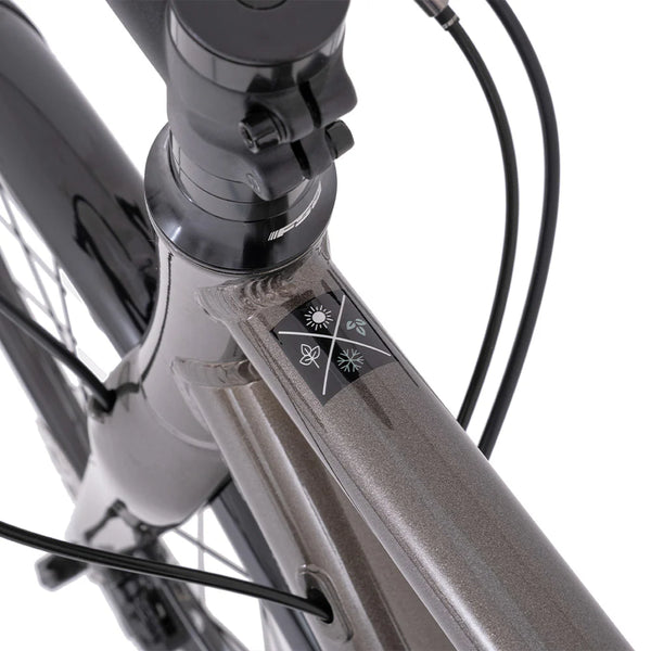 Kinesis Kinesis 4S Endurance Road Bike in Silver