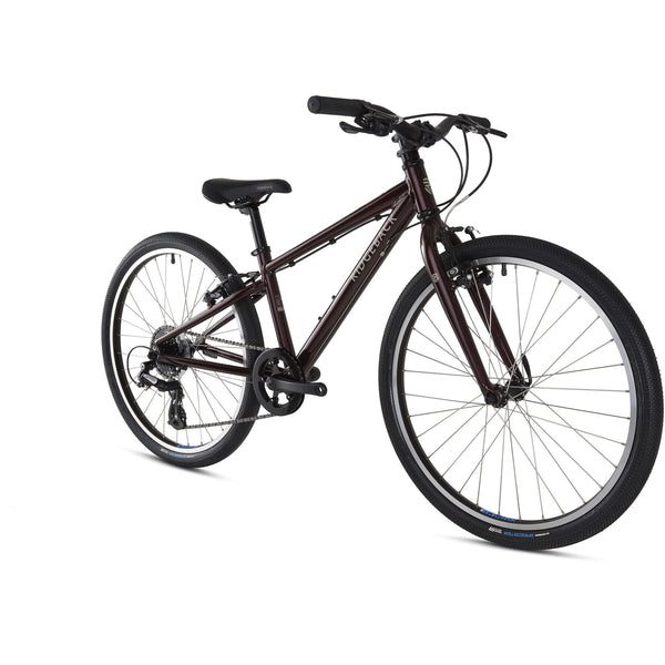 Ridgeback Dimension 24 Kids Bike